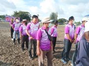 30564388613856216352952116449326612792121478n