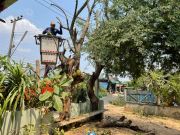 16529792411392300398718692569091446388584724n