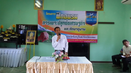 �ç��� �֡ͺ�������л�١�ת���ɰ�Ԩ����֡�Ҵ٧ҹ ���ѧ��Ѵ�ѹ����� �ѧ��Ѵ���ͧ ��ѹ��� 23 � 25 �.�. 61