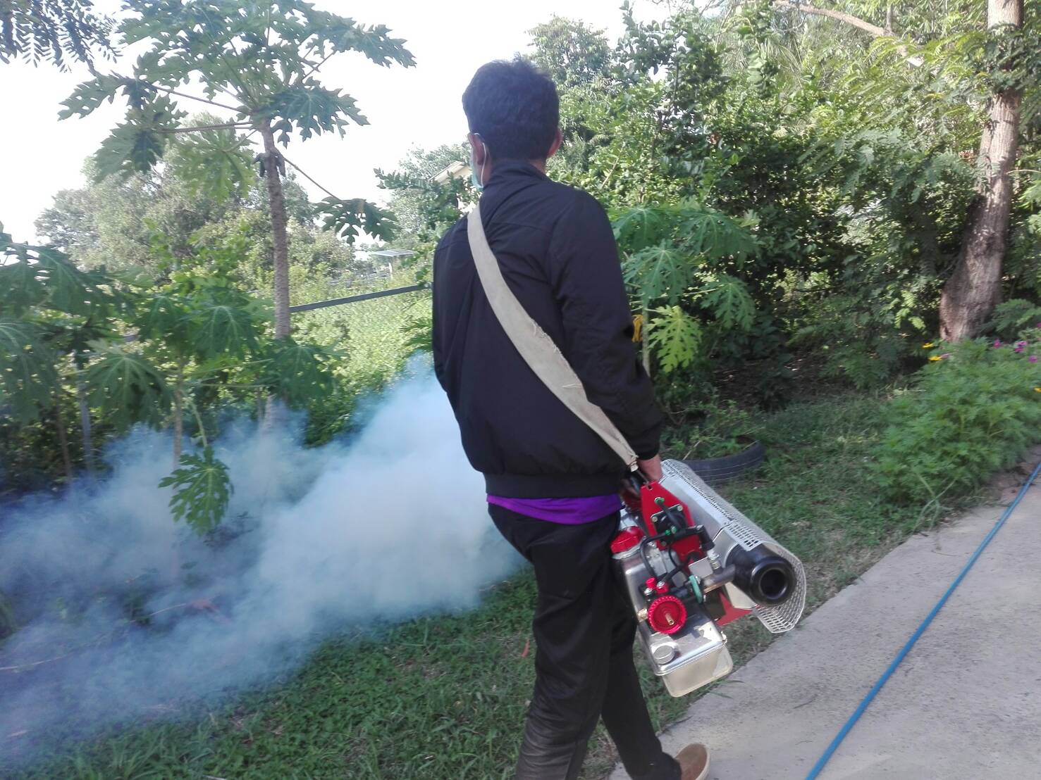 �մ����͡��ѹ�ӨѴ�ا���